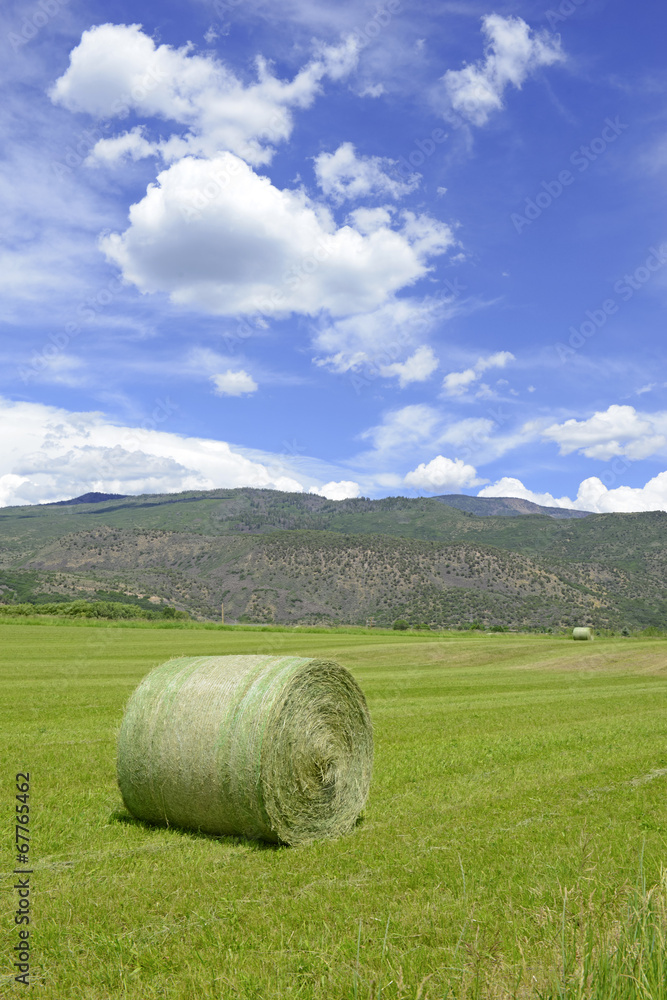 Rolls of Hay on farm in rural landscape