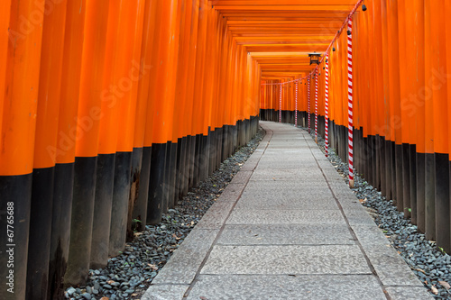 Path of Torii gate in Fushimi Inari shrine in Kyoto, Japan.