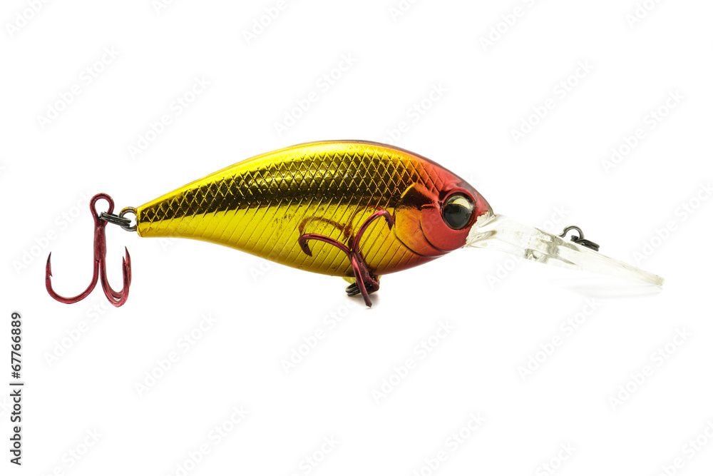 Fish bait Fish bait
