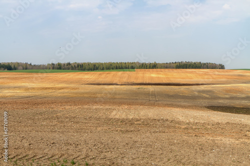 spring field image