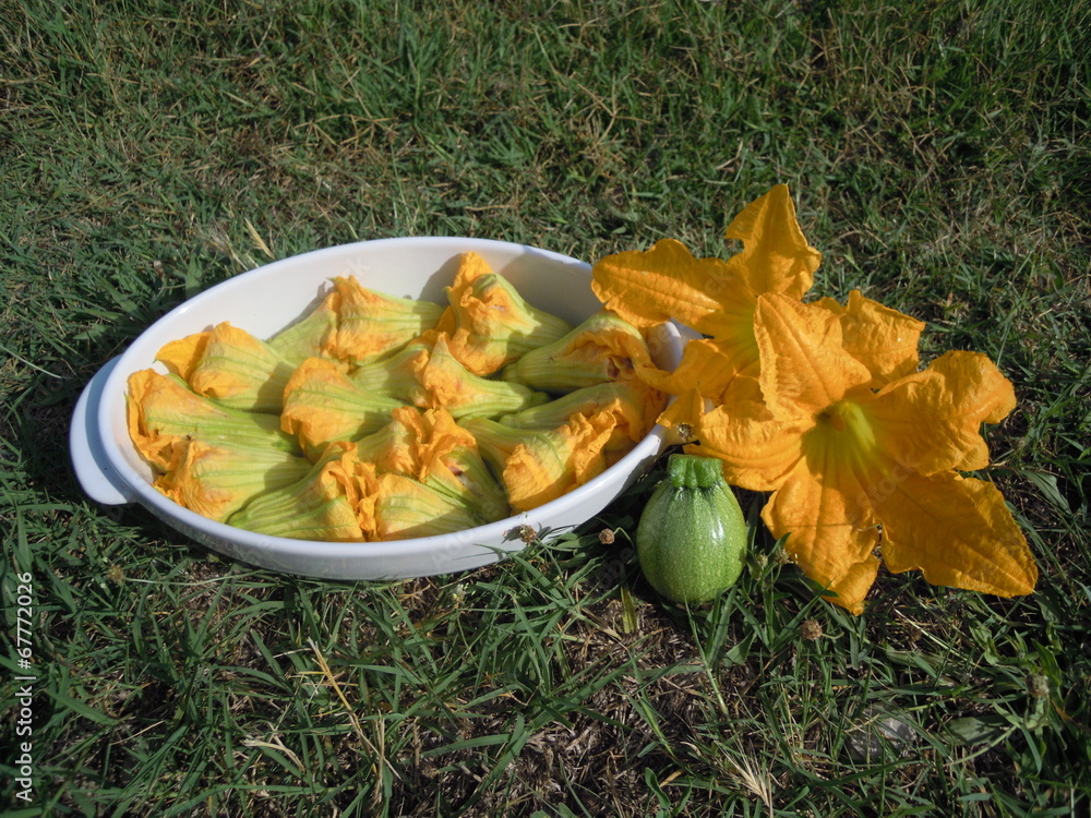 Fleurs de courgettes farcies