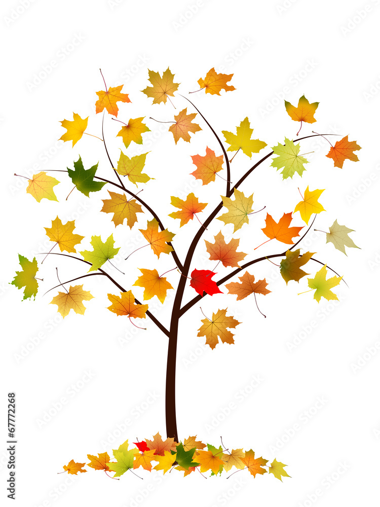 Autumn tree with maple leaves, vector illustration. Autumn tree with maple leaves, vector illustration.