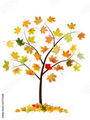 Autumn tree with maple leaves, vector illustration.