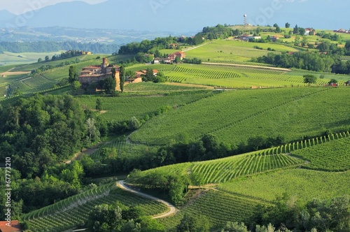 Barolo Castello di La Volta 11