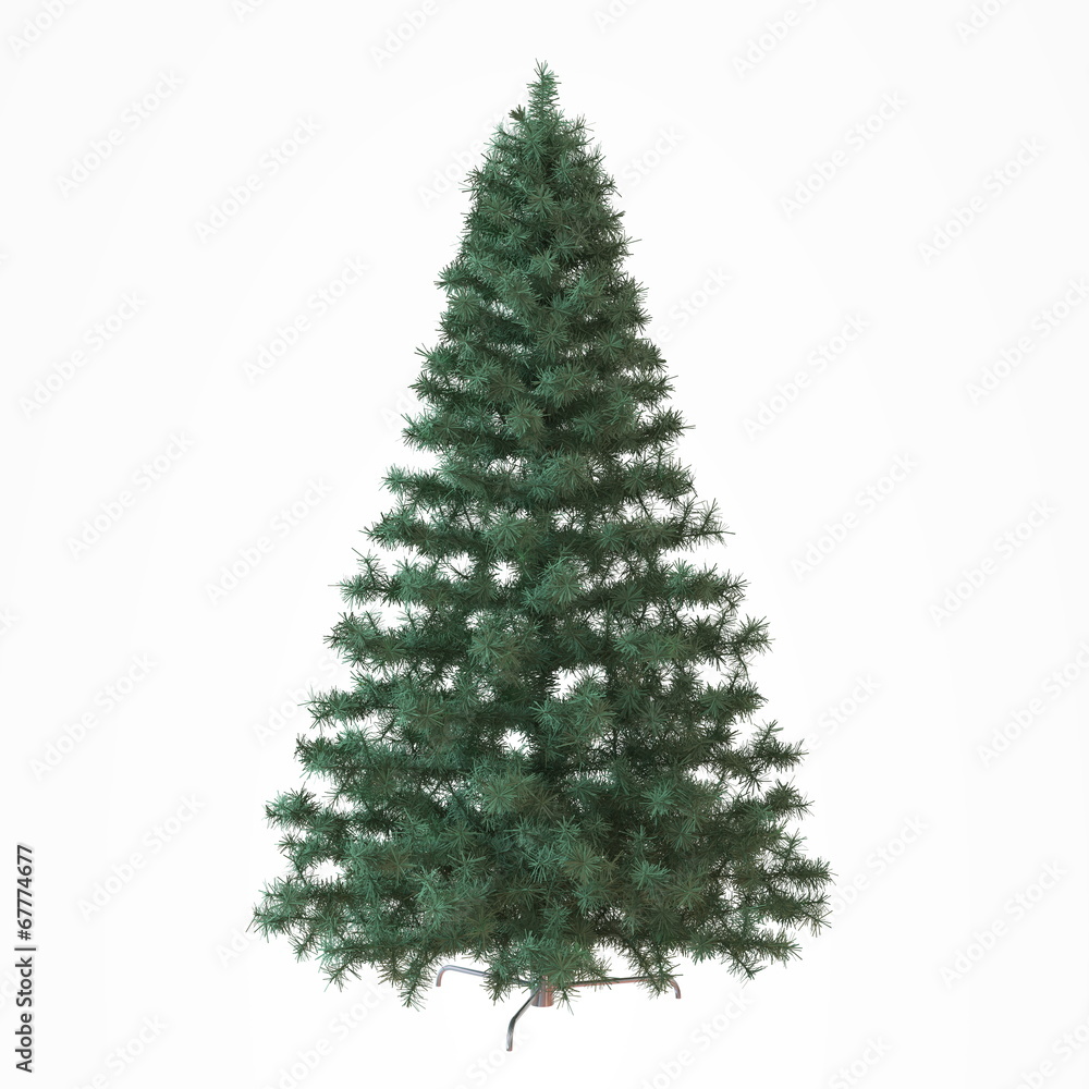 Fototapeta premium Christmas undecorated tree isolated