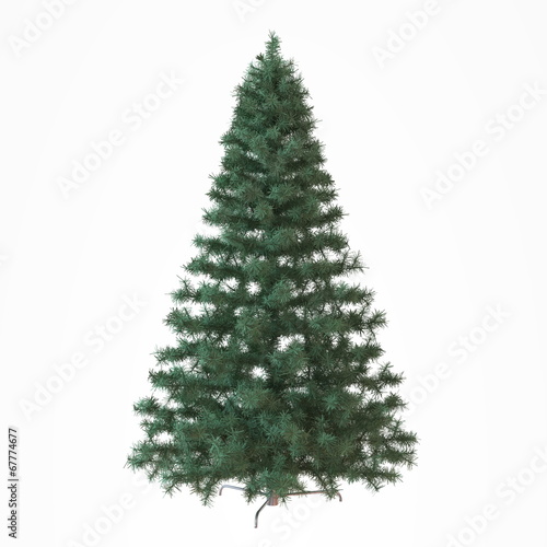 Christmas undecorated tree isolated
