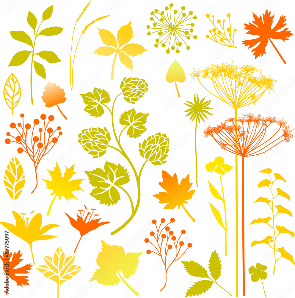Autumn set Autumn set