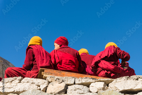 group of young lama in red clothes