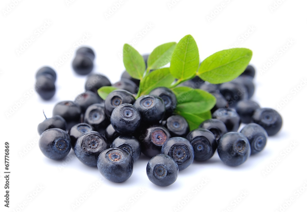 Blueberries with leaves Blueberries with leaves