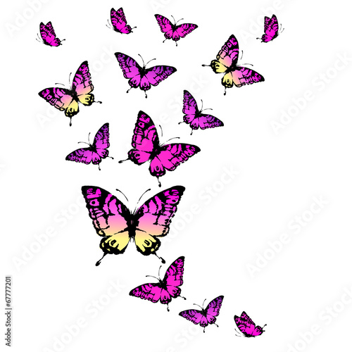 butterflies design