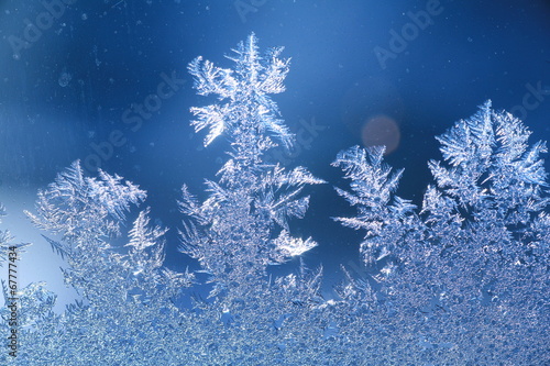 schneeblumen an scheibe