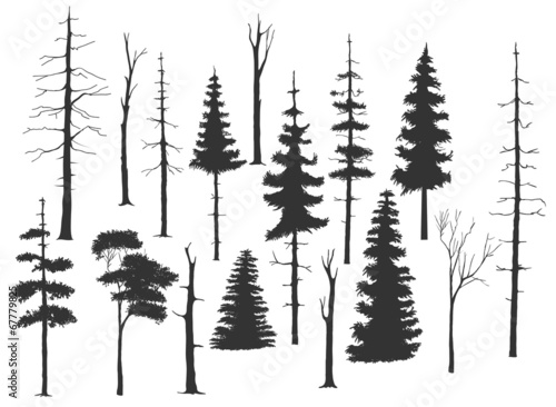 free handdrawing set of the tree