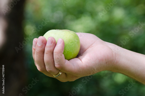 green apple in the palm