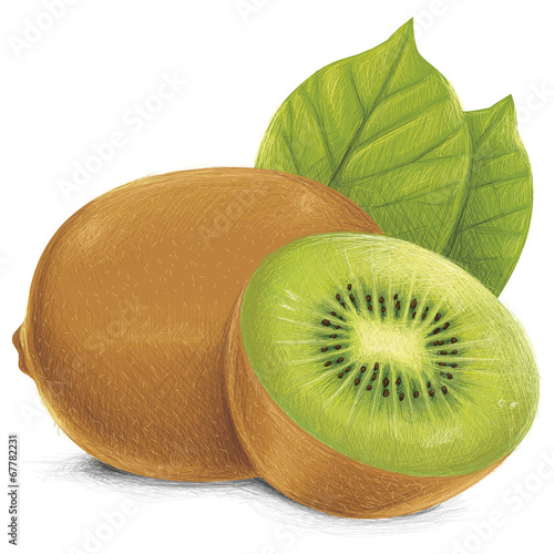 kiwi isolated