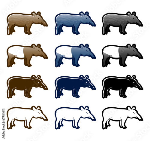 Tapir