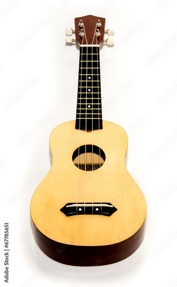 Obraz premium ukulele