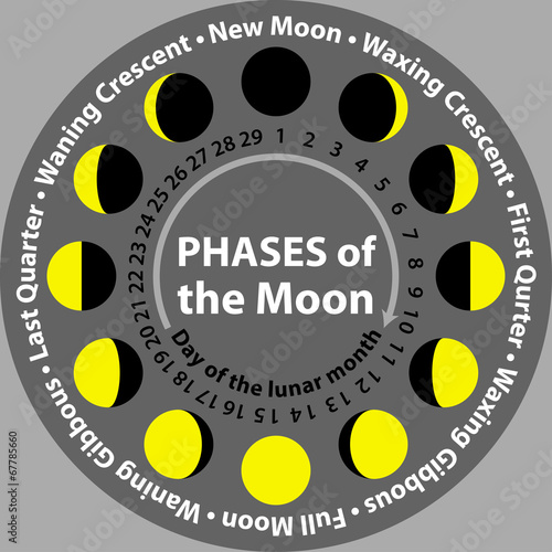 Phases of the moon with days of the lunar month