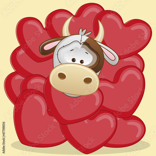 Cow in hearts