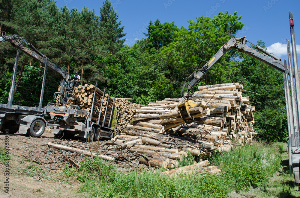 workers load wood to truck with crane workers load wood to truck with crane