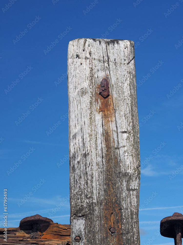 Fototapeta premium Post