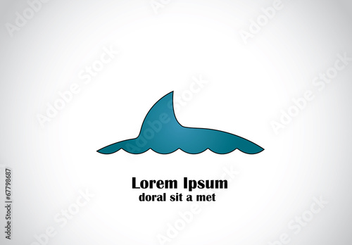 blue shark or dolphin or whale fin swimming on sea ocean surace