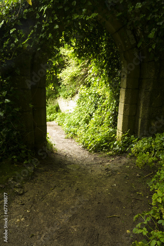 Backlit old arch overgrown in woodland.