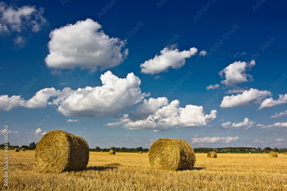 Straw Bales