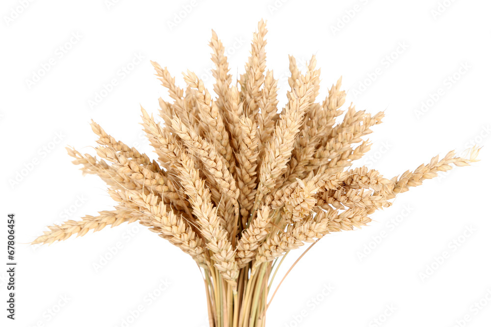 Fototapeta premium Sheaf of wheat isolated on white