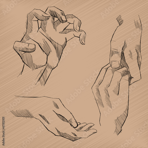 Vector Sketch Hands