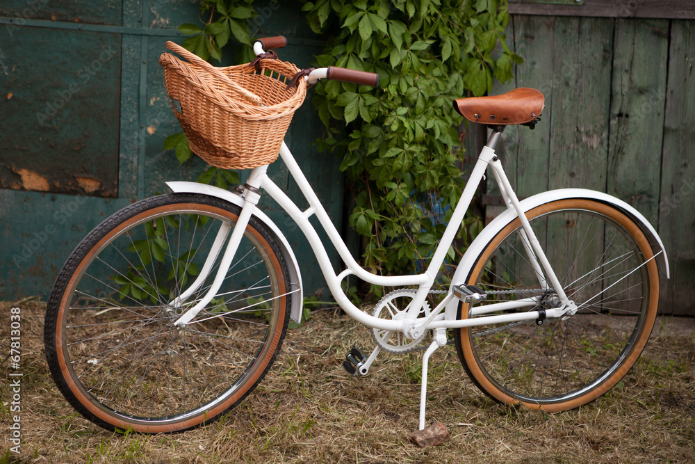 Retro vintage lady bicycle