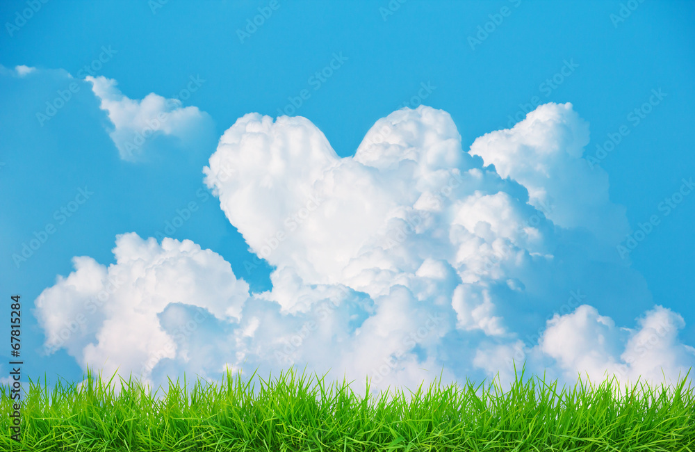 Freshness Abstract love sky on grass field