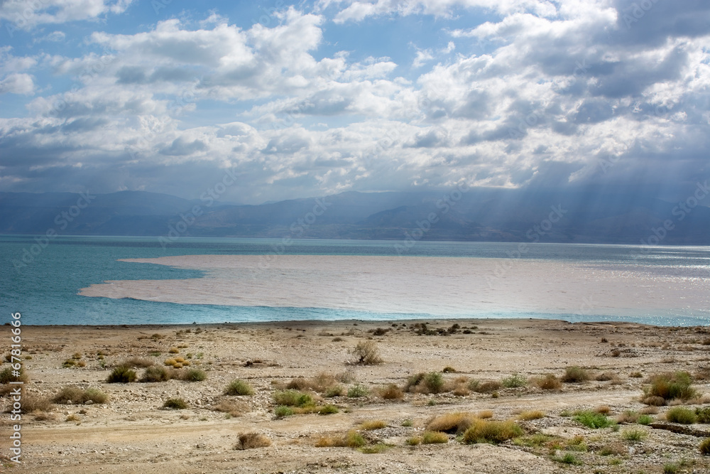 Fototapeta premium Dead sea salt beach