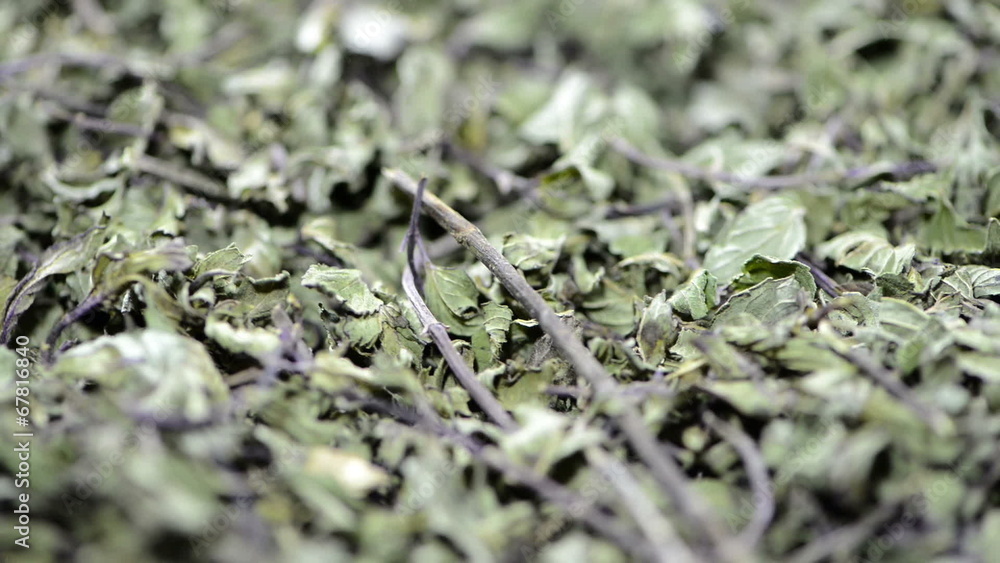 Dried Mint (loopable video) Dried Mint (loopable video)
