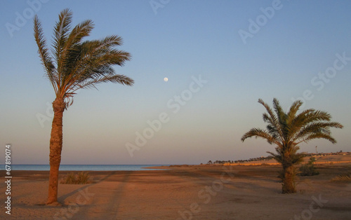 Moonrise on the Red Sea