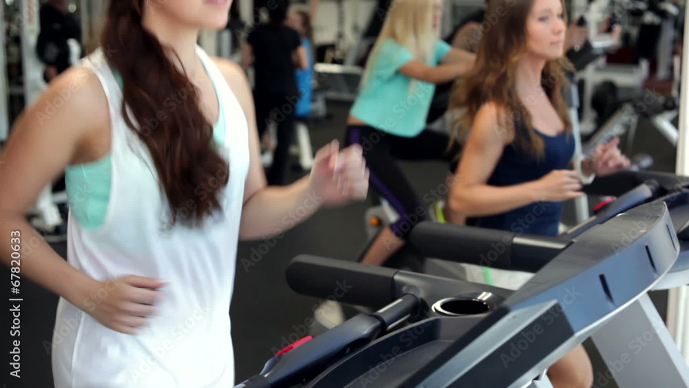 Training in a Gym Training in a Gym