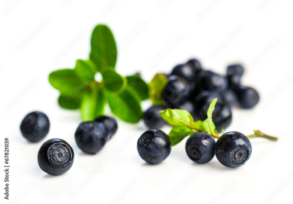 blueberries with leaves blueberries with leaves