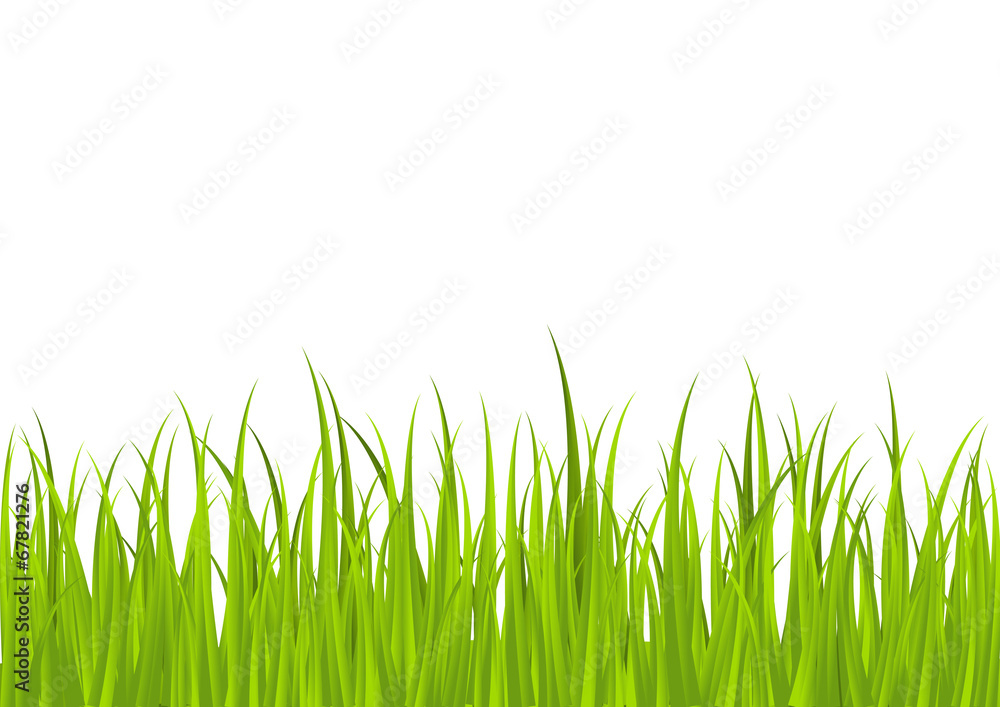Obraz premium Green grass border for Your design