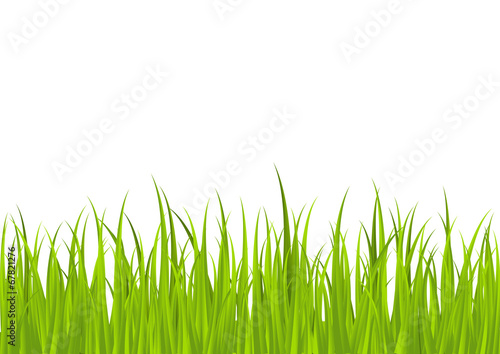 Green grass border for Your design