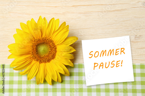 Wallpaper Mural Sommerpause Torontodigital.ca