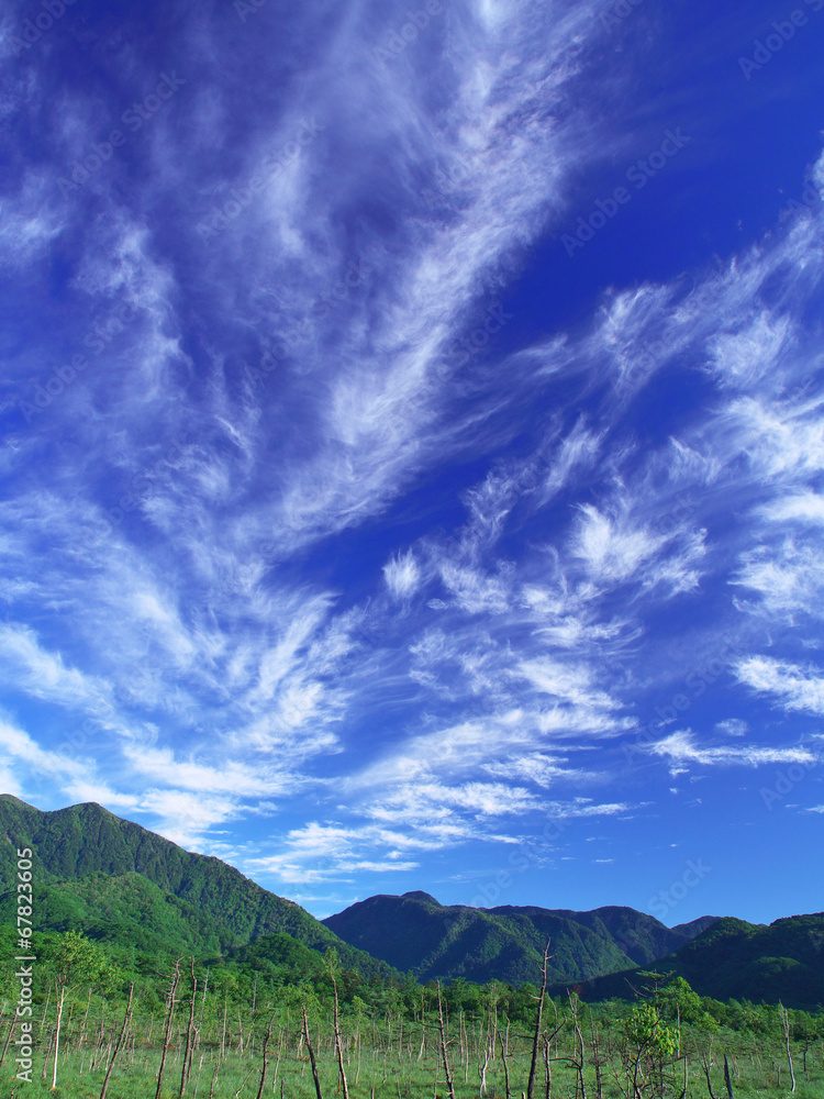 Obraz premium 巻雲と戦場ヶ原