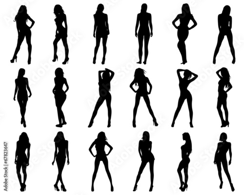 Silhouettes of beautiful and sexy girls, vector