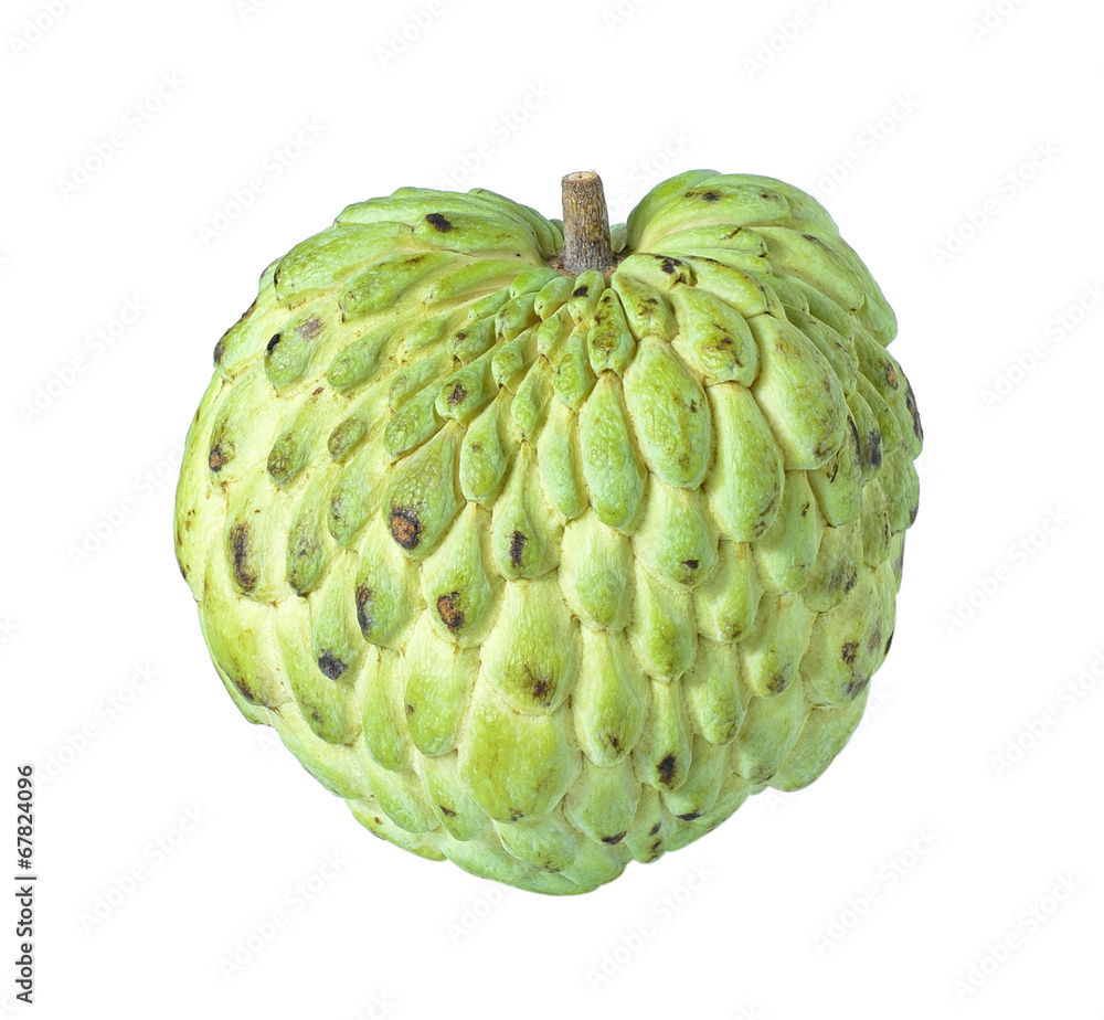 Obraz premium Custard apple on white background