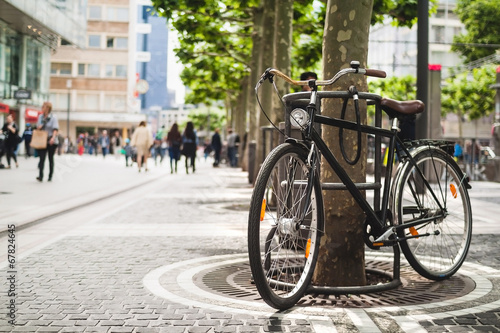 Bike standing near a platan tree in Frankfurt, Germany © fischers