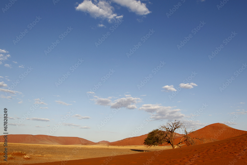 Fototapeta premium Dünenlandschaft, Sossulvlei, Namibia