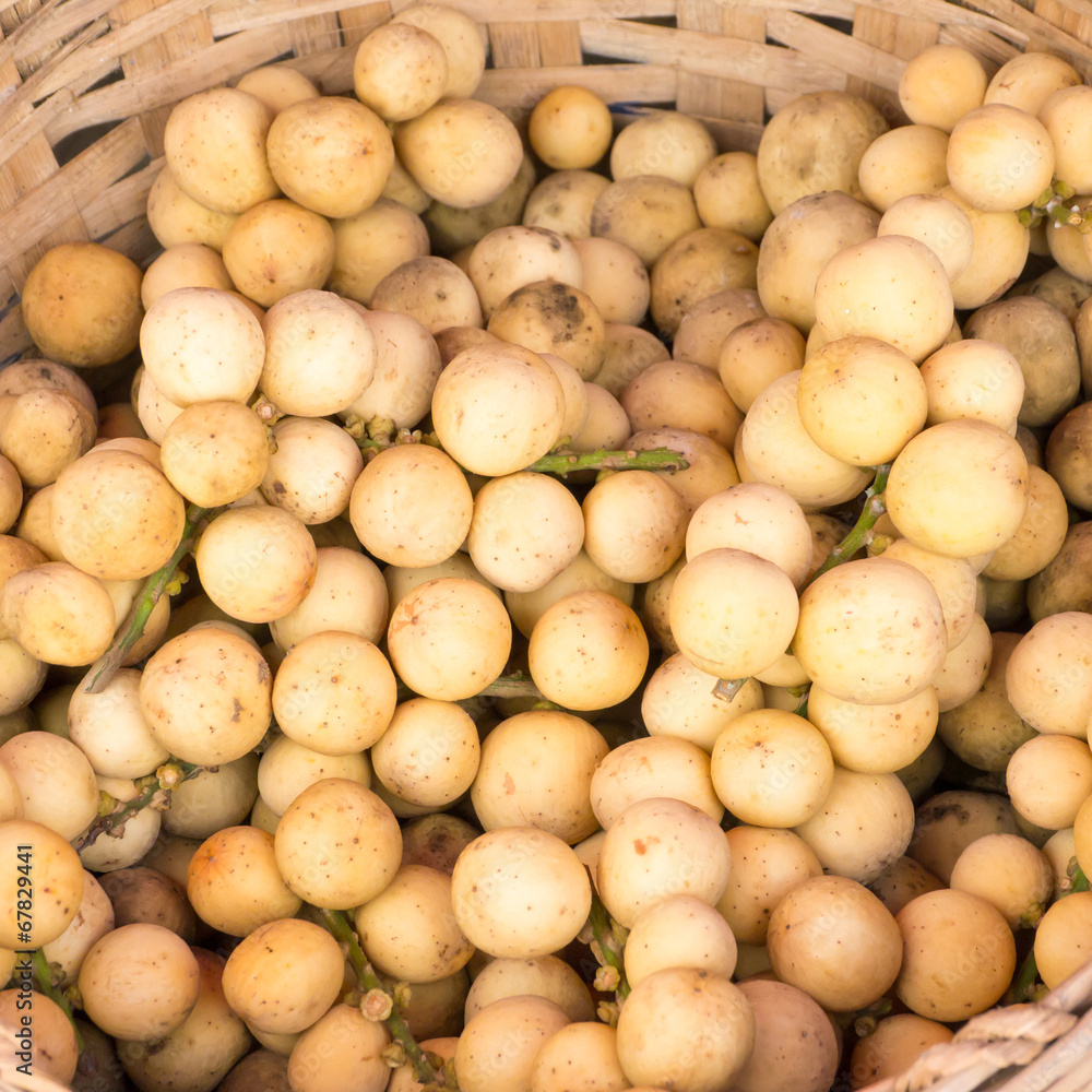 Lansium or Langsat, tropical fruit in Thailand Lansium or Langsat, tropical fruit in Thailand