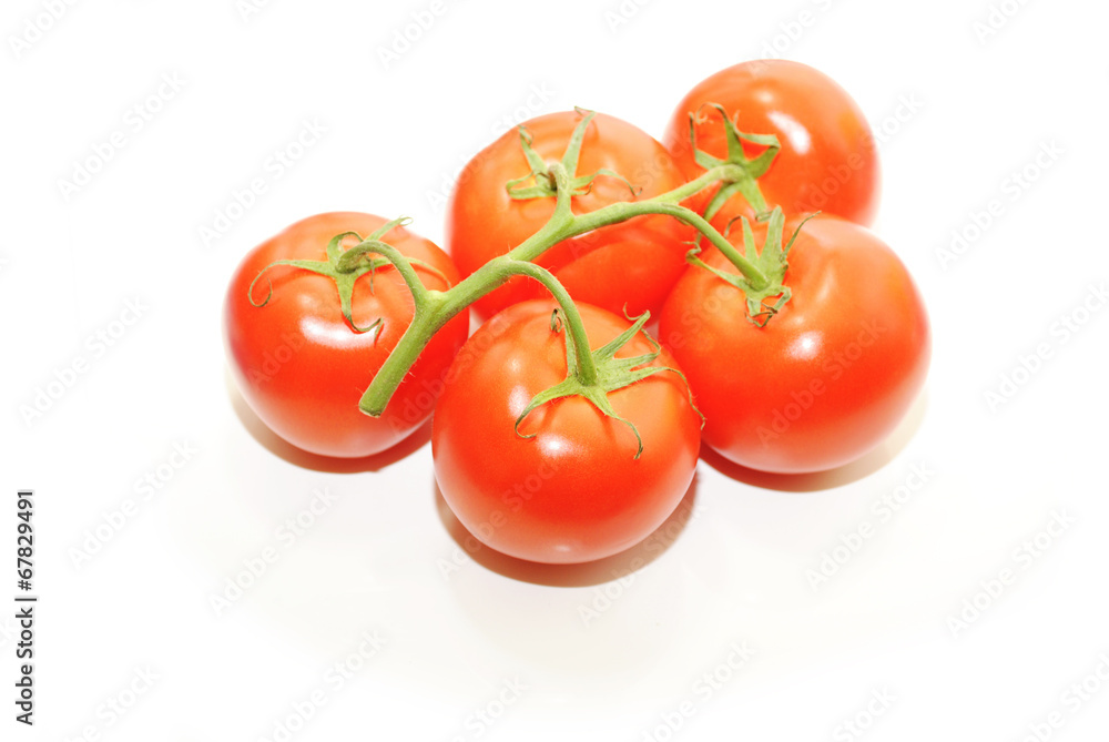 Five Vine Ripened Tomatoes Isolated on White Five Vine Ripened Tomatoes Isolated on White