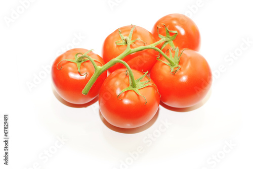 Five Vine Ripened Tomatoes Isolated on White © Bill