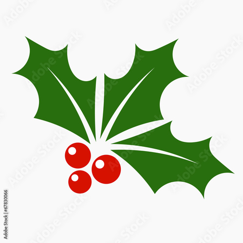 Holly berry icon
