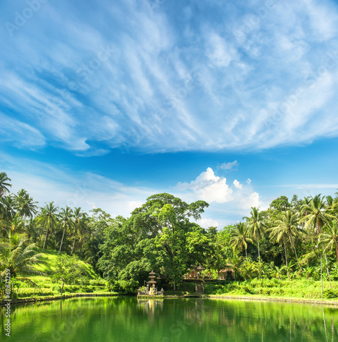 paradise lake with palm trees and blue sky. tropical nature land