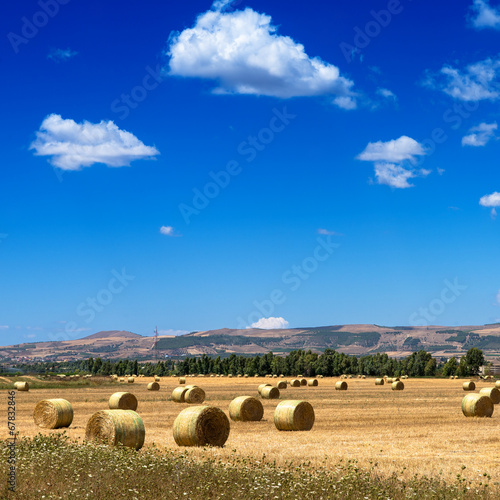 Sardegna, rotoballe di fieno photo